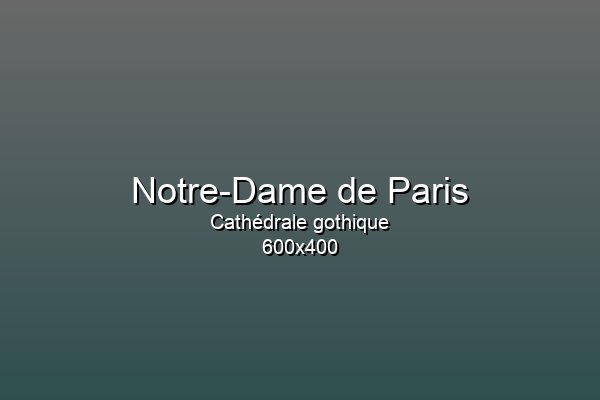 Cathédrale Notre-Dame de Paris vue de face